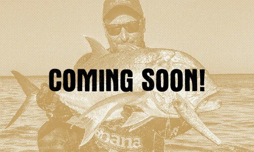 COMING SOON COMING SOON