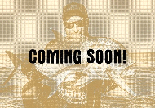 COMING SOON COMING SOON